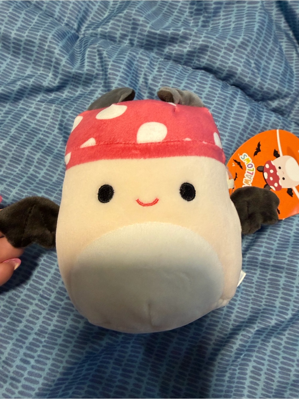 Squishmallow MALCOLM the
MUSHROOM BAT 5" plush HALLOWEEN 5 inch 2024 NEW fungus